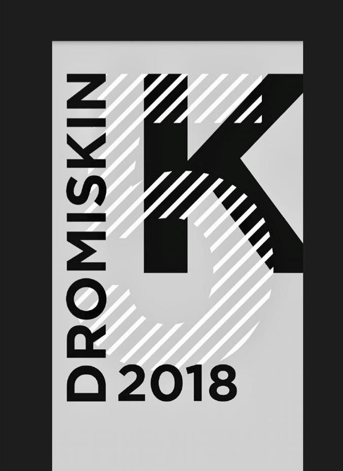 Dromiskin 5K 2019